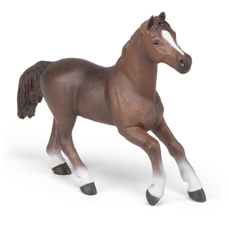 PAPO Horse and Ponies Anglo-Arab Mare Toy Figure, Three Years or Above, Brown