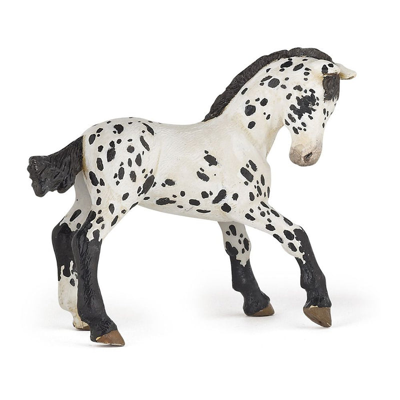 PAPO Horse and Ponies Black Appaloosa Foal Toy Figure, Three Years or Above, White/Black