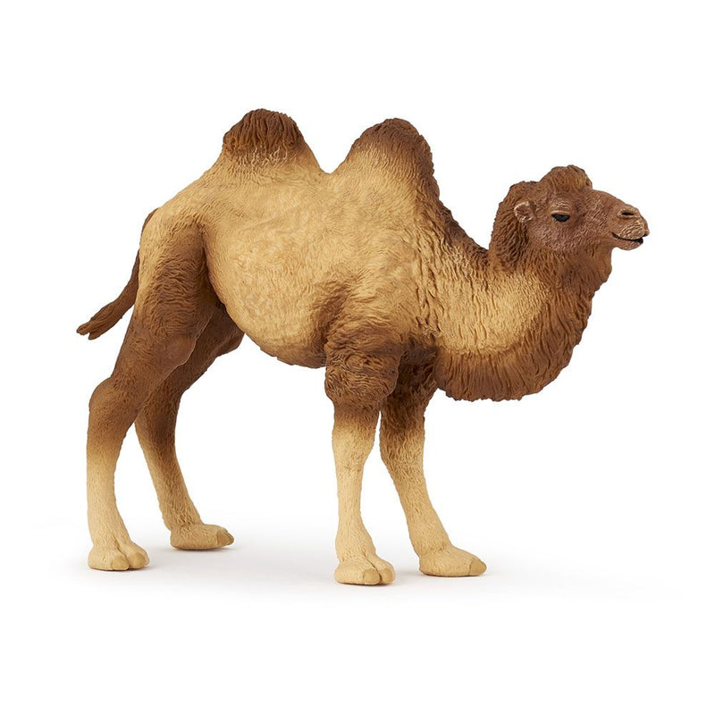 PAPO Wild Animal Kingdom Bactrian Camel Toy Figure, Three Years or Above, Brown