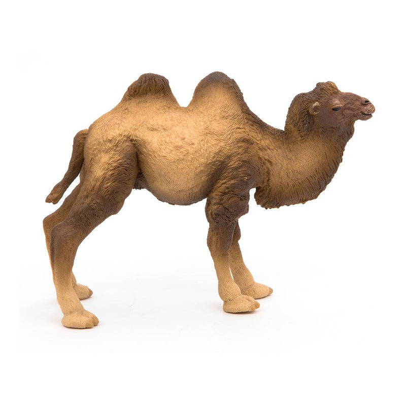 PAPO Wild Animal Kingdom Bactrian Camel Toy Figure, Three Years or Above, Brown