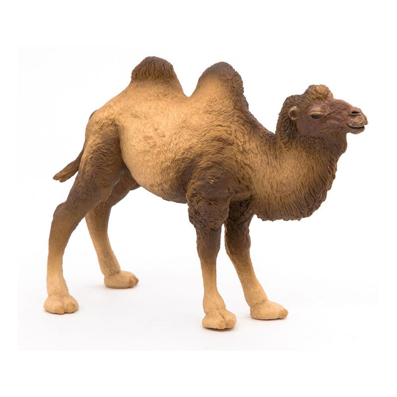 PAPO Wild Animal Kingdom Bactrian Camel Toy Figure, Three Years or Above, Brown