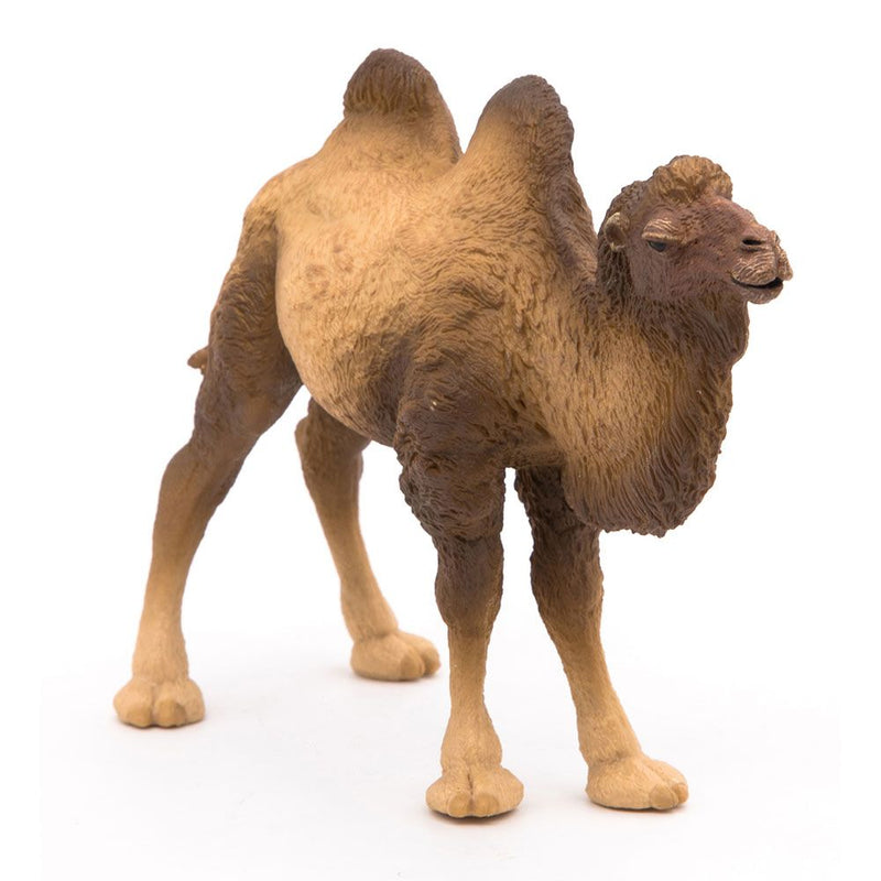 PAPO Wild Animal Kingdom Bactrian Camel Toy Figure, Three Years or Above, Brown