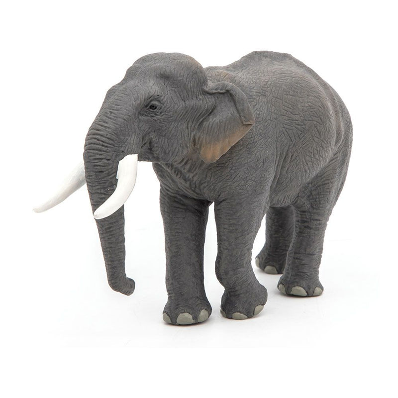PAPO Wild Animal Kingdom Asian Elephant Toy Figure, Three Years or Above, Grey