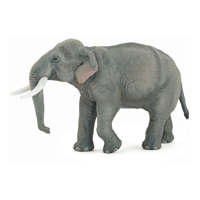 PAPO Wild Animal Kingdom Asian Elephant Toy Figure, Three Years or Above, Grey