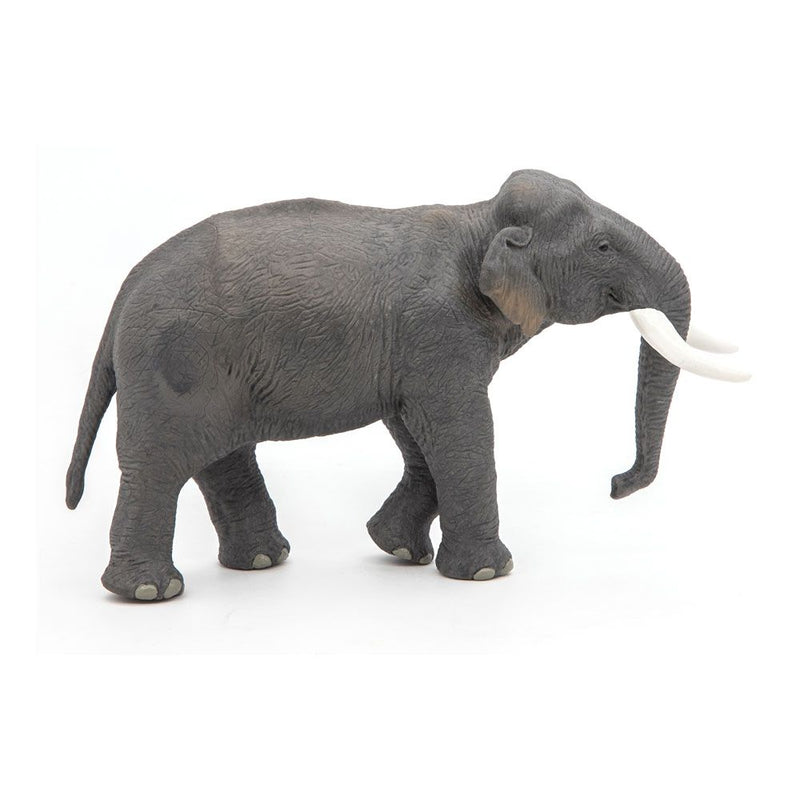PAPO Wild Animal Kingdom Asian Elephant Toy Figure, Three Years or Above, Grey