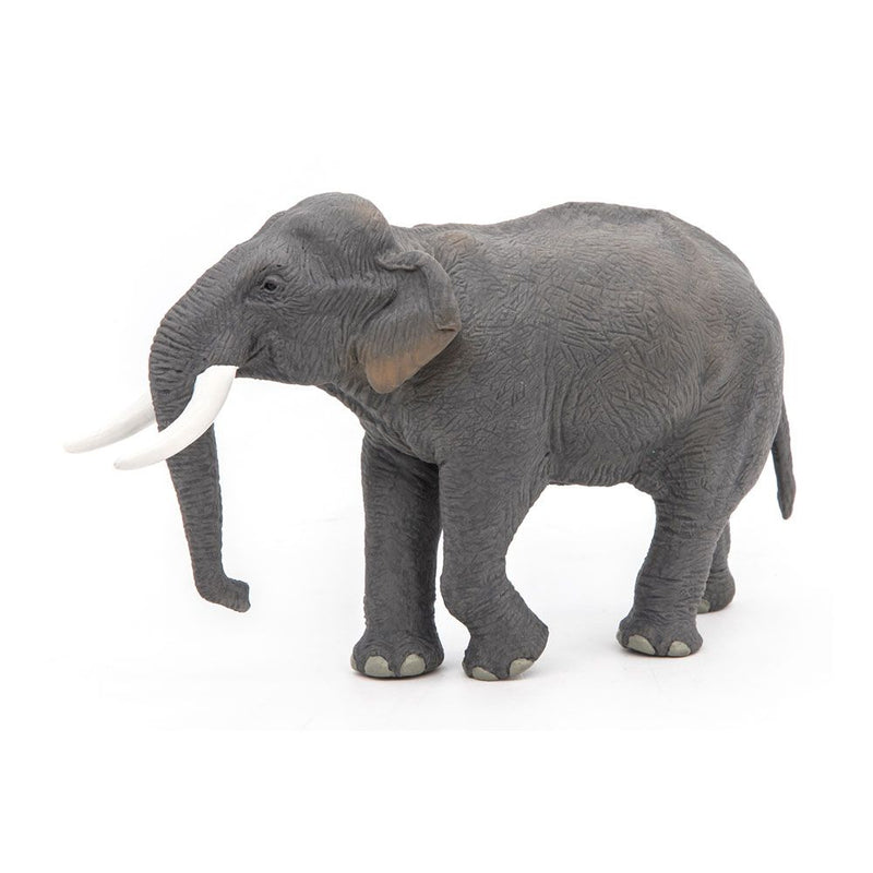 PAPO Wild Animal Kingdom Asian Elephant Toy Figure, Three Years or Above, Grey