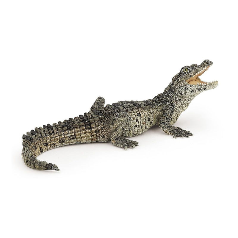 PAPO Wild Animal Kingdom Baby Crocodile Toy Figure, Three Years or Above, Multi-colour