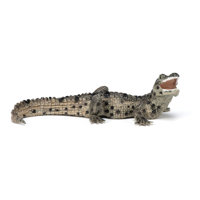 PAPO Wild Animal Kingdom Baby Crocodile Toy Figure, Three Years or Above, Multi-colour