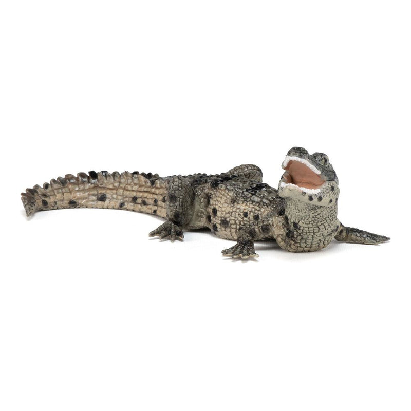 PAPO Wild Animal Kingdom Baby Crocodile Toy Figure, Three Years or Above, Multi-colour