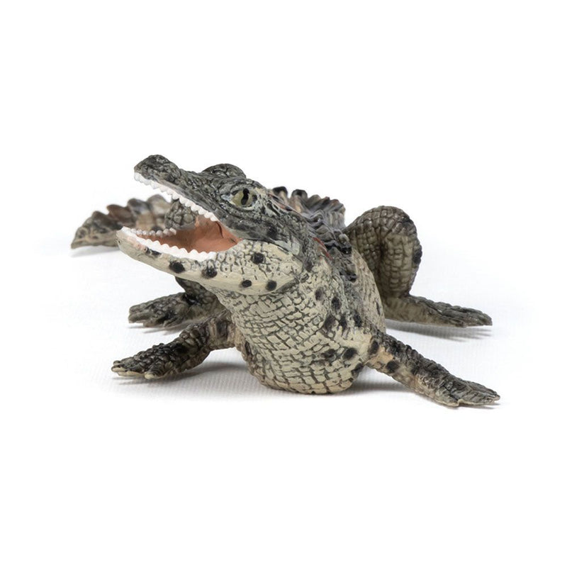 PAPO Wild Animal Kingdom Baby Crocodile Toy Figure, Three Years or Above, Multi-colour
