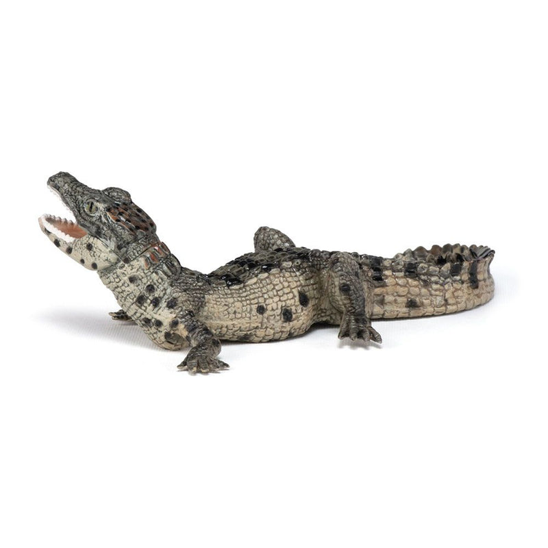 PAPO Wild Animal Kingdom Baby Crocodile Toy Figure, Three Years or Above, Multi-colour