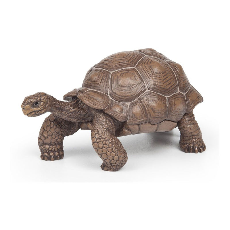 PAPO Wild Animal Kingdom Galapagos Tortoise Toy Figure, Three Years or Above, Green