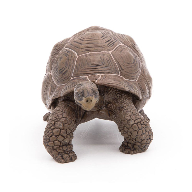 PAPO Wild Animal Kingdom Galapagos Tortoise Toy Figure, Three Years or Above, Green