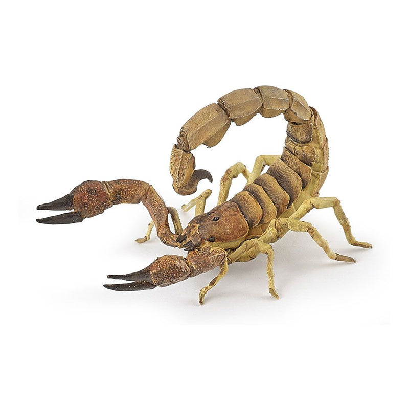 PAPO Wild Animal Kingdom Scorpion Toy Figure, Three Years or Above, Multi-colour