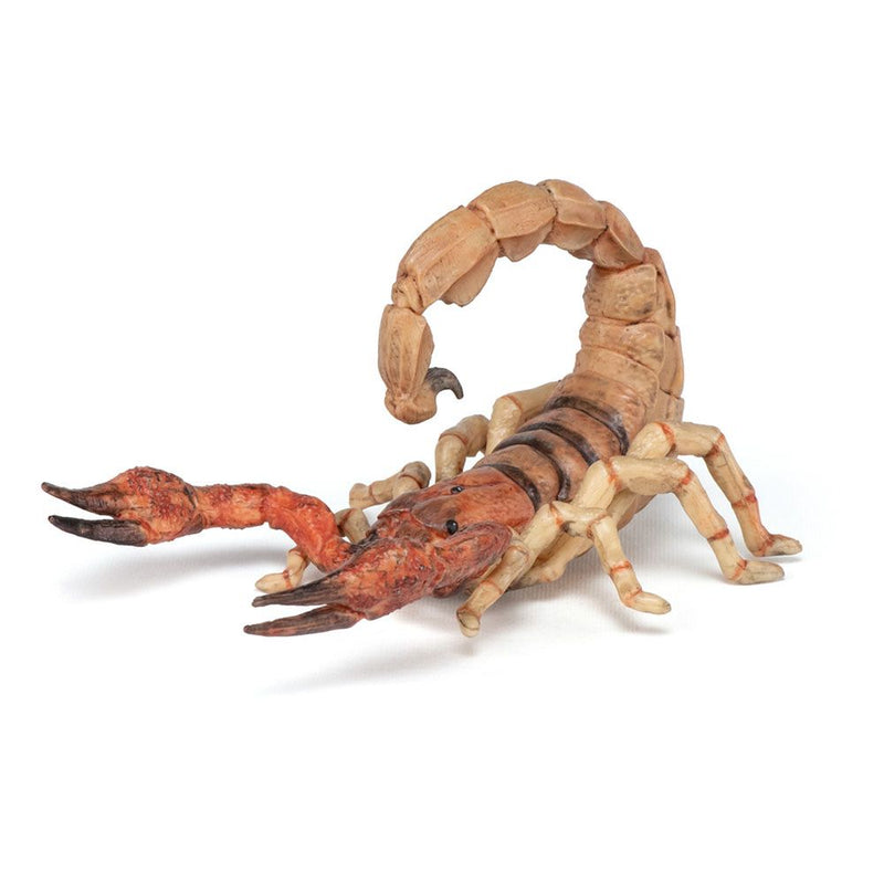 PAPO Wild Animal Kingdom Scorpion Toy Figure, Three Years or Above, Multi-colour