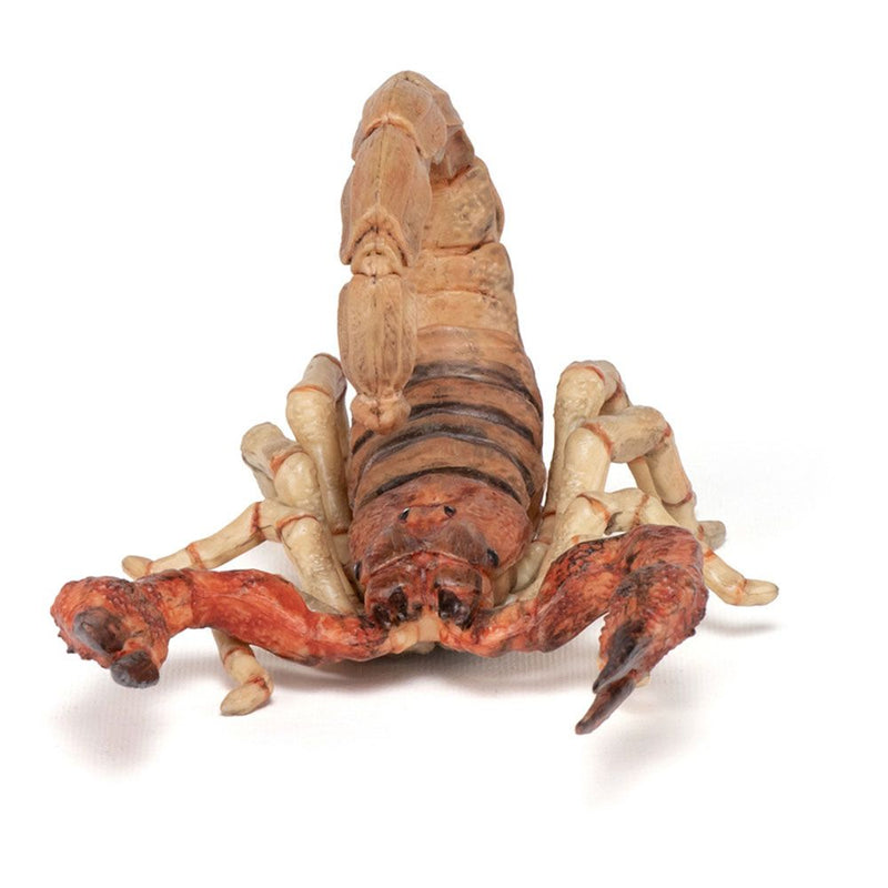 PAPO Wild Animal Kingdom Scorpion Toy Figure, Three Years or Above, Multi-colour