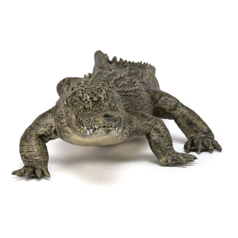 PAPO Wild Animal Kingdom Alligator Toy Figure, Three Years or Above, Multi-colour