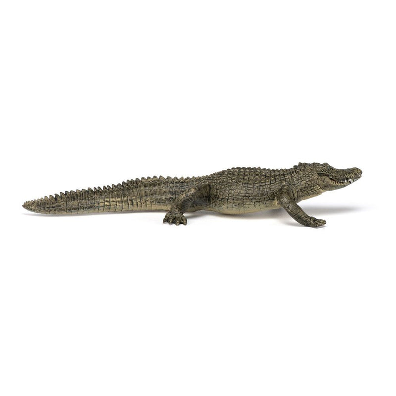 PAPO Wild Animal Kingdom Alligator Toy Figure, Three Years or Above, Multi-colour