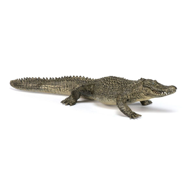 PAPO Wild Animal Kingdom Alligator Toy Figure, Three Years or Above, Multi-colour