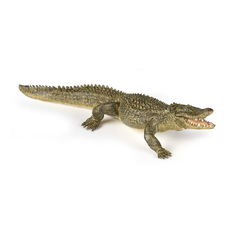 PAPO Wild Animal Kingdom Alligator Toy Figure, Three Years or Above, Multi-colour