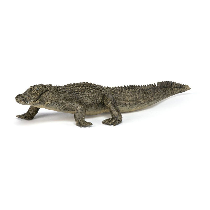 PAPO Wild Animal Kingdom Alligator Toy Figure, Three Years or Above, Multi-colour