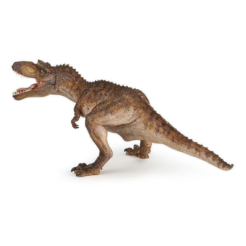 PAPO Dinosaurs Gorgosaurus Toy Figure, Three Years or Above, Multi-colour