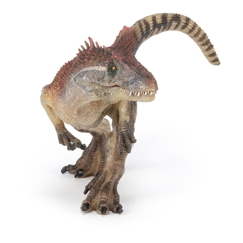 PAPO Dinosaurs Allosaurus Toy Figure, Three Years or Above, Multi-colour