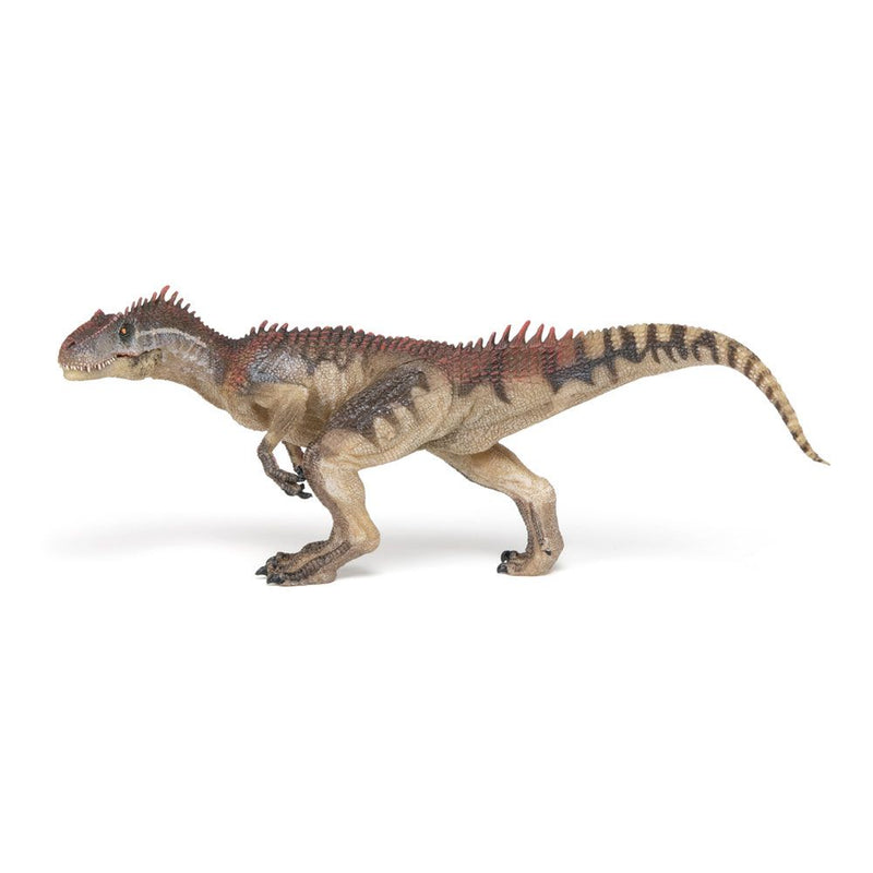 PAPO Dinosaurs Allosaurus Toy Figure, Three Years or Above, Multi-colour