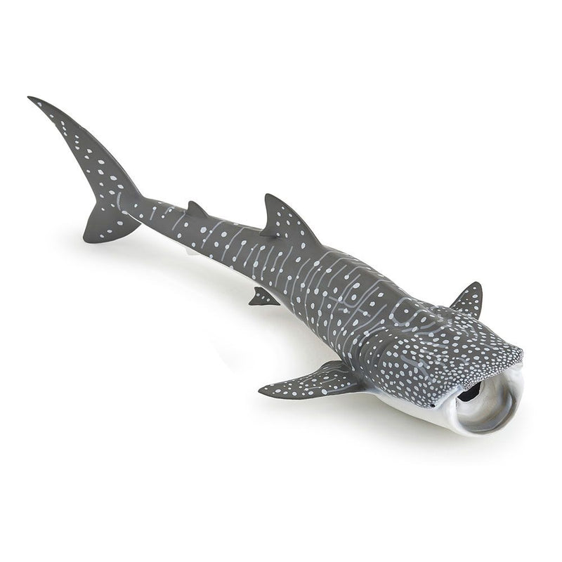 PAPO Marine Life Whale Shark Toy Figure, Three Years or Above, Grey/White