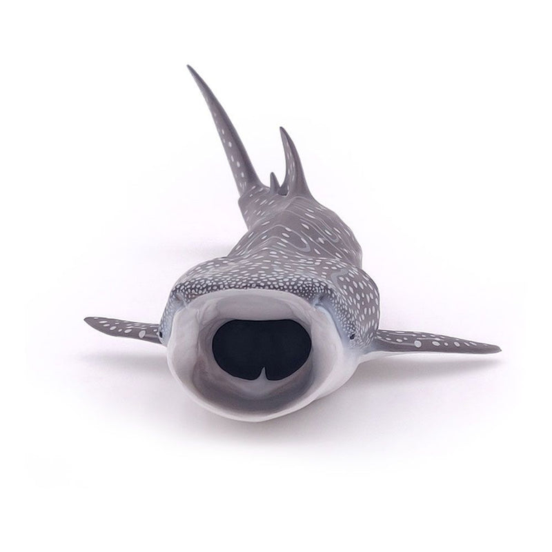 PAPO Marine Life Whale Shark Toy Figure, Three Years or Above, Grey/White