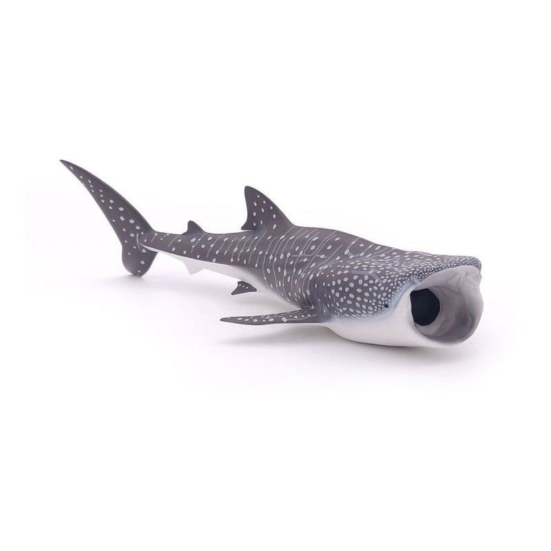 PAPO Marine Life Whale Shark Toy Figure, Three Years or Above, Grey/White