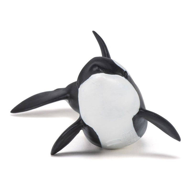 PAPO Marine Life Killer Whale Calf Toy Figure, Three Years or Above, Black/White