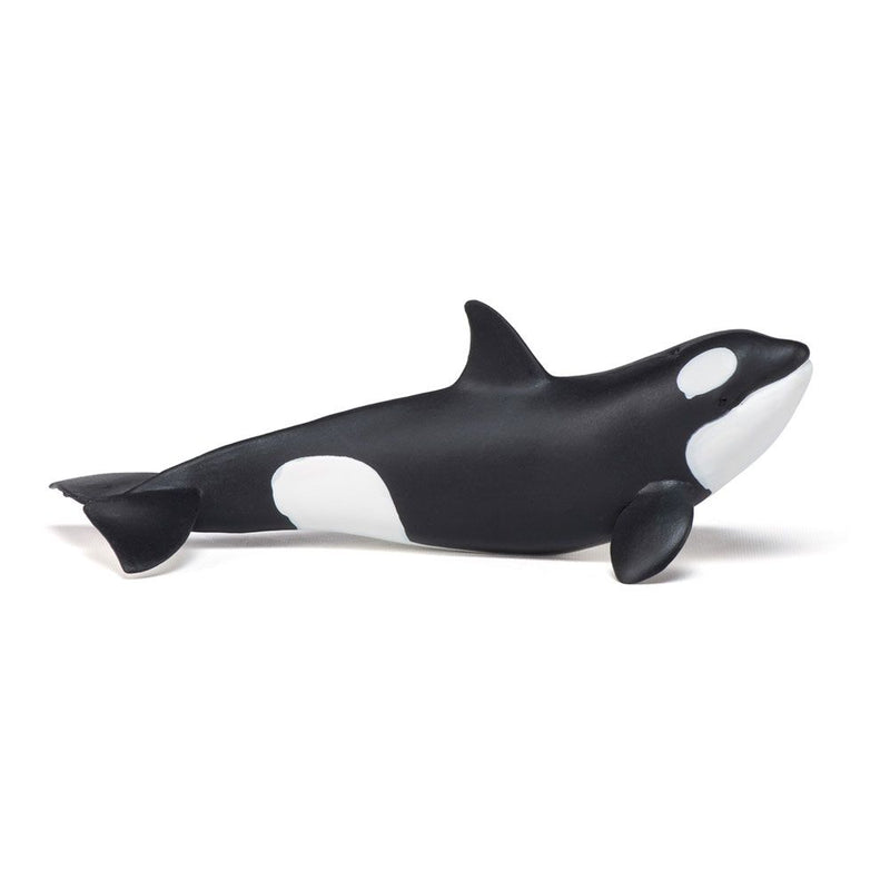 PAPO Marine Life Killer Whale Calf Toy Figure, Three Years or Above, Black/White