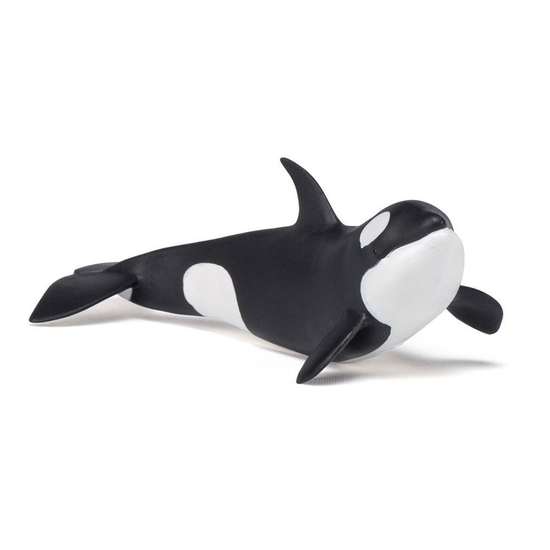 PAPO Marine Life Killer Whale Calf Toy Figure, Three Years or Above, Black/White