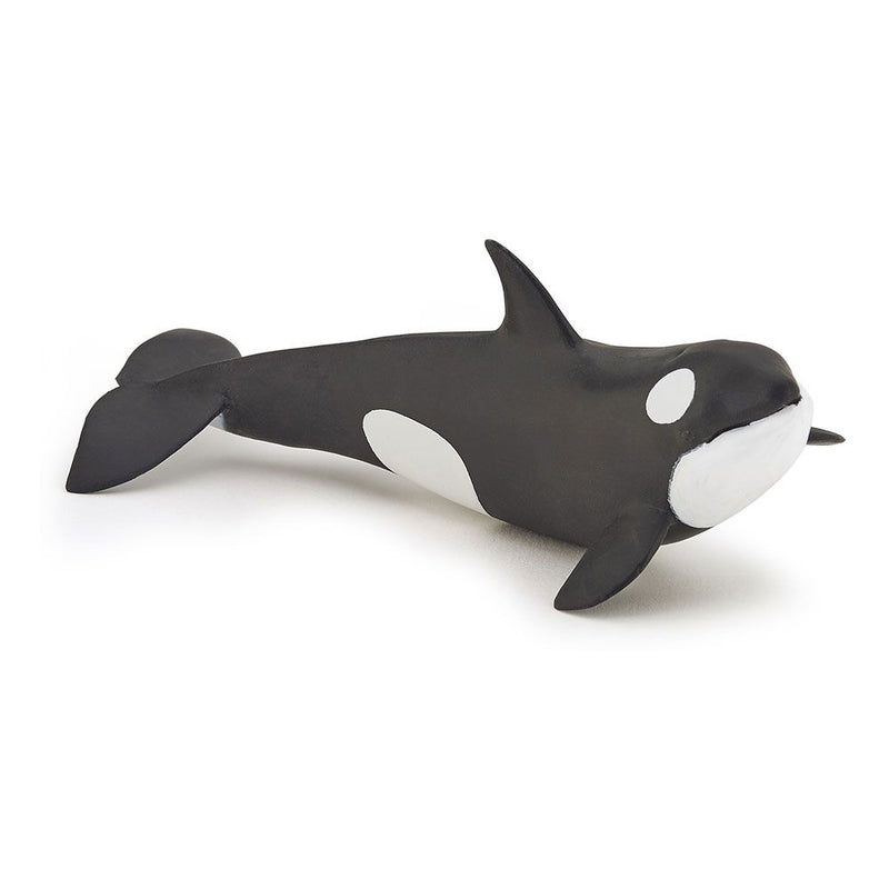 PAPO Marine Life Killer Whale Calf Toy Figure, Three Years or Above, Black/White