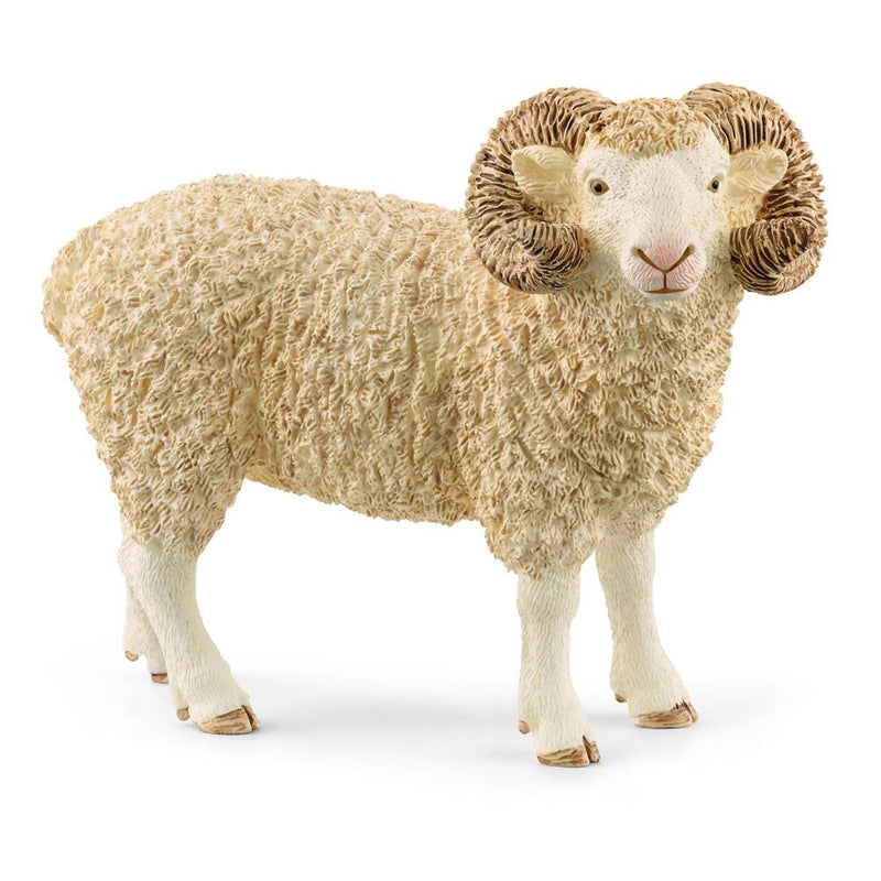 SCHLEICH Farm World Ram Toy Figure, 3 to 8 Years, White