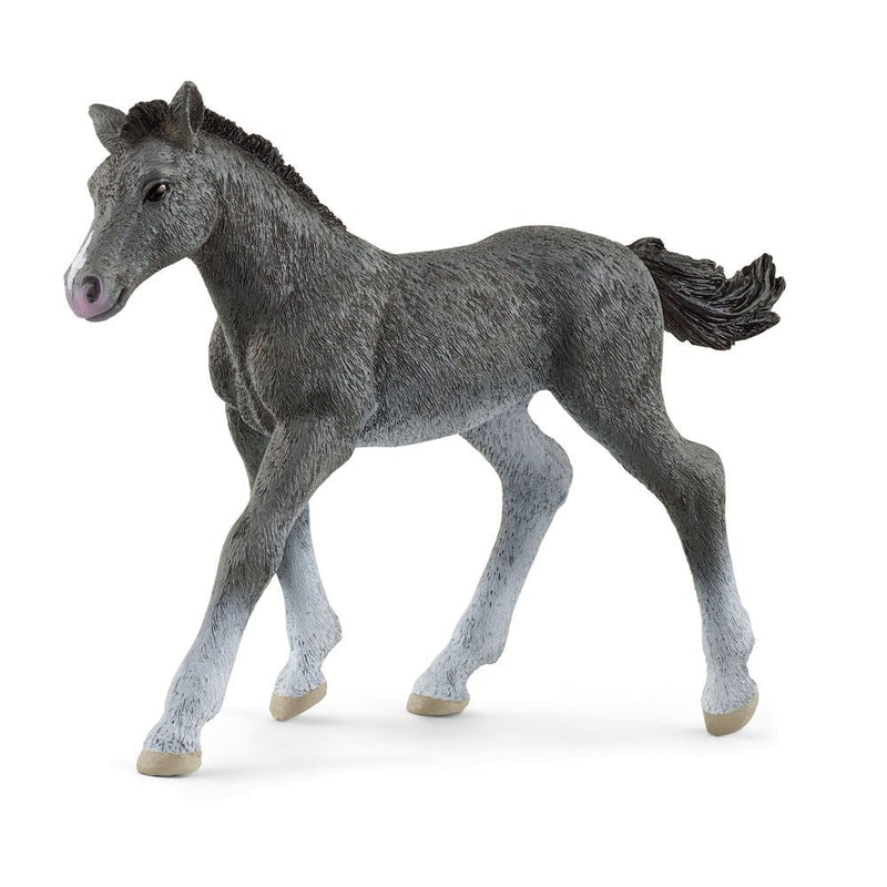 SCHLEICH Horse Club Trakehner Foal Toy Figure, 3 to 8 Years, Grey