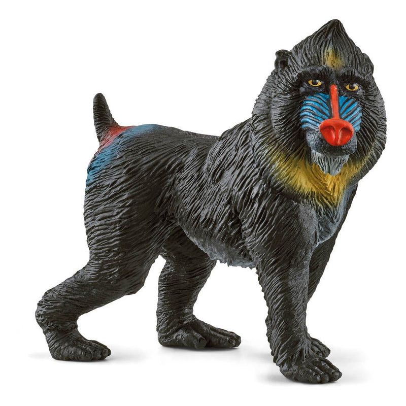SCHLEICH Wild Life Mandrill Toy Figure, 3 to 8 Years, Multi-colour