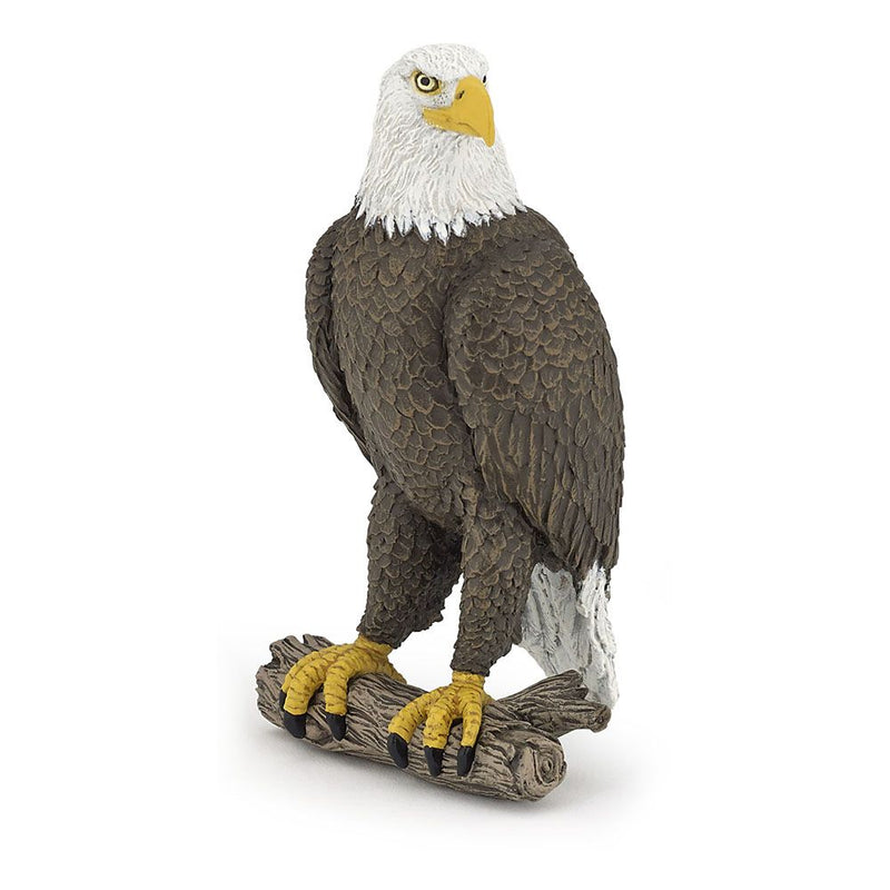 PAPO Wild Animal Kingdom Sea Eagle Toy Figure, Three Years or Above, Brown/White