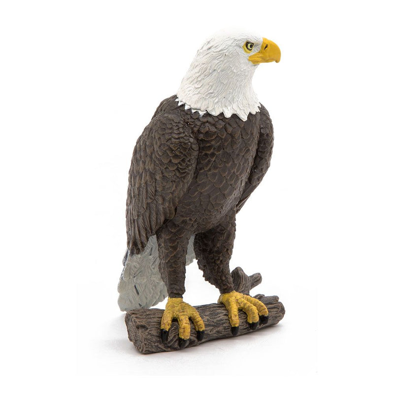PAPO Wild Animal Kingdom Sea Eagle Toy Figure, Three Years or Above, Brown/White