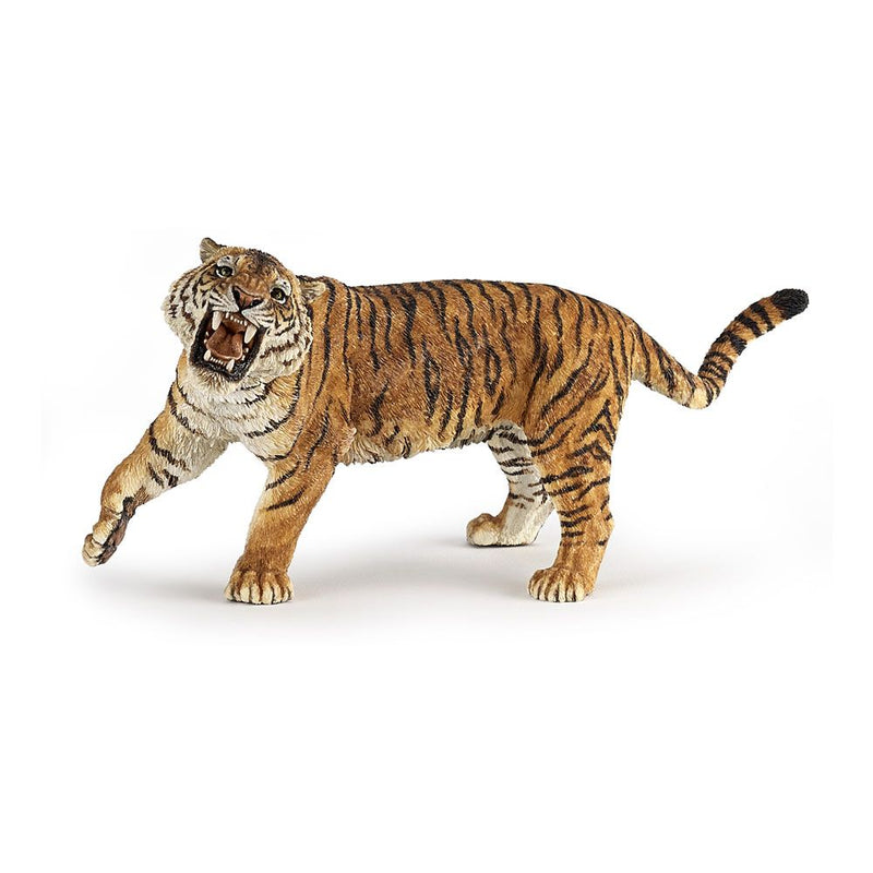PAPO Wild Animal Kingdom Roaring Tiger Toy Figure, Three Years or Above, Multi-colour
