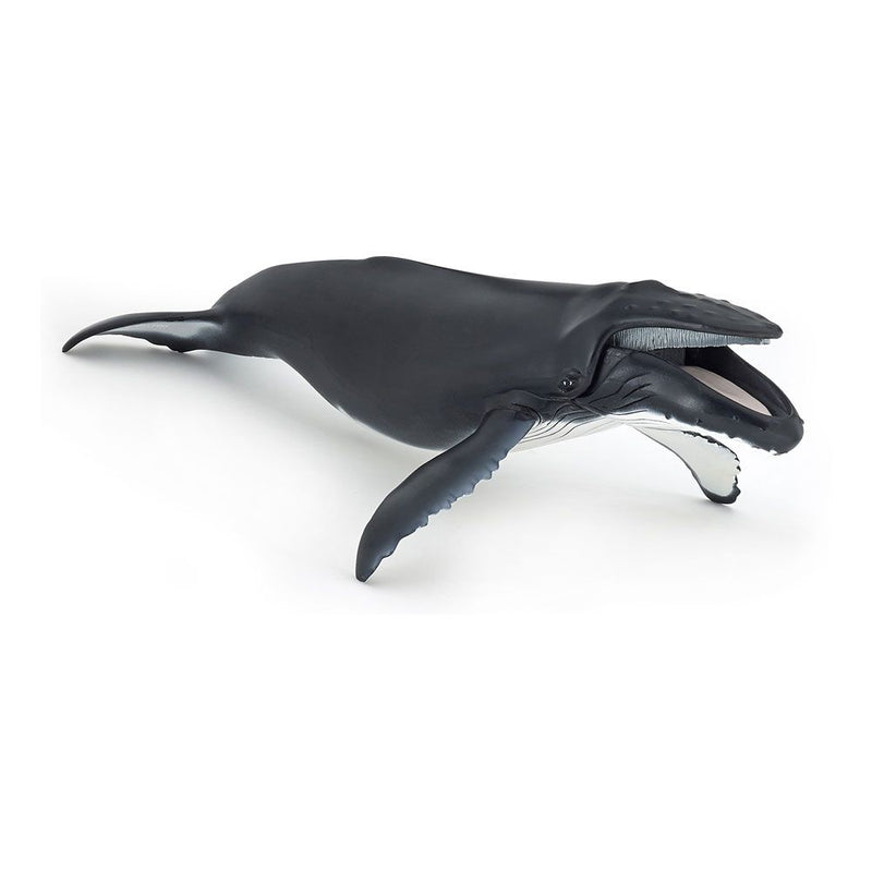 PAPO Marine Life Humpback Whale Toy Figure, Three Years or Above, Grey