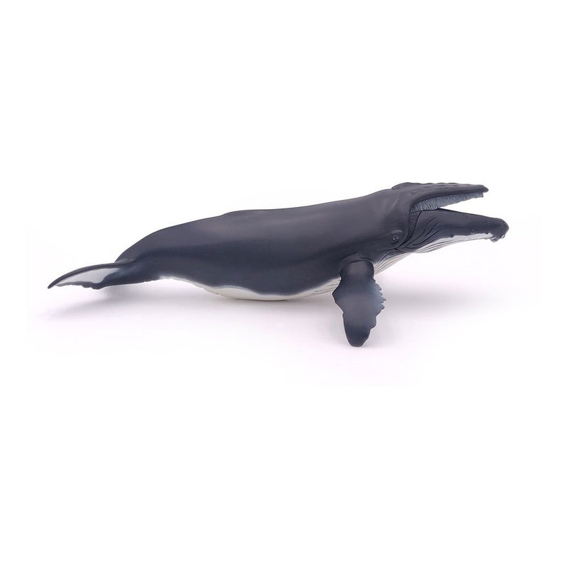 PAPO Marine Life Humpback Whale Toy Figure, Three Years or Above, Grey