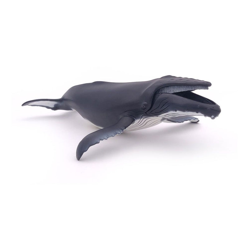 PAPO Marine Life Humpback Whale Toy Figure, Three Years or Above, Grey