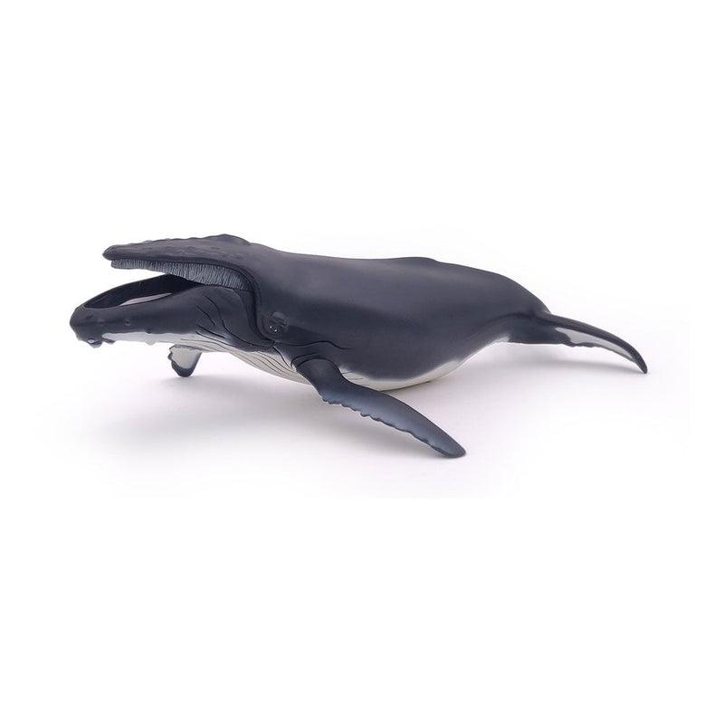 PAPO Marine Life Humpback Whale Toy Figure, Three Years or Above, Grey