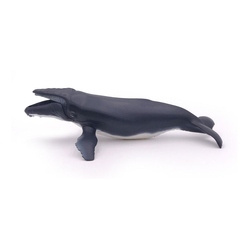 PAPO Marine Life Humpback Whale Toy Figure, Three Years or Above, Grey