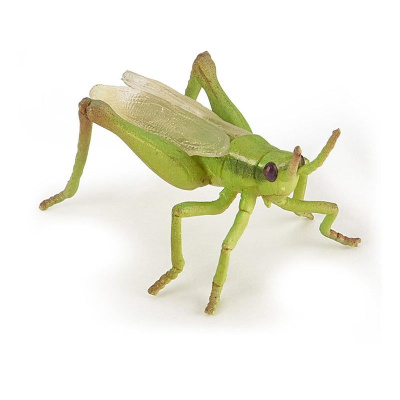 PAPO Wild Animal Kingdom Grasshopper Toy Figure, 3 Years or Above, Green