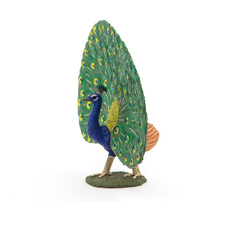 PAPO Farmyard Friends Peacock Toy Figure, 3 Years or Above, Multi-colour
