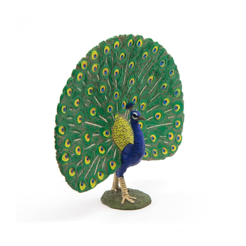 PAPO Farmyard Friends Peacock Toy Figure, 3 Years or Above, Multi-colour