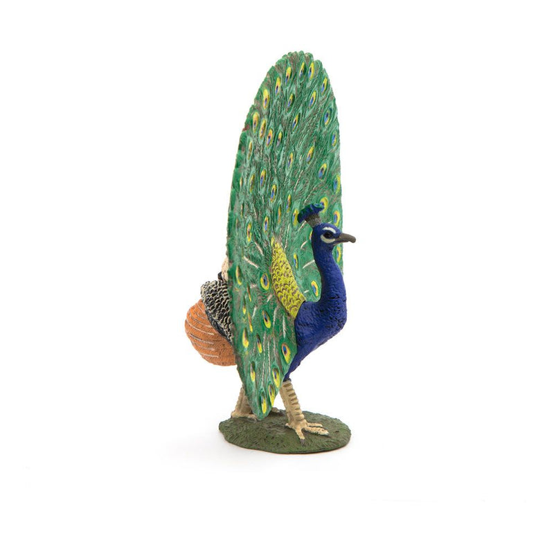 PAPO Farmyard Friends Peacock Toy Figure, 3 Years or Above, Multi-colour